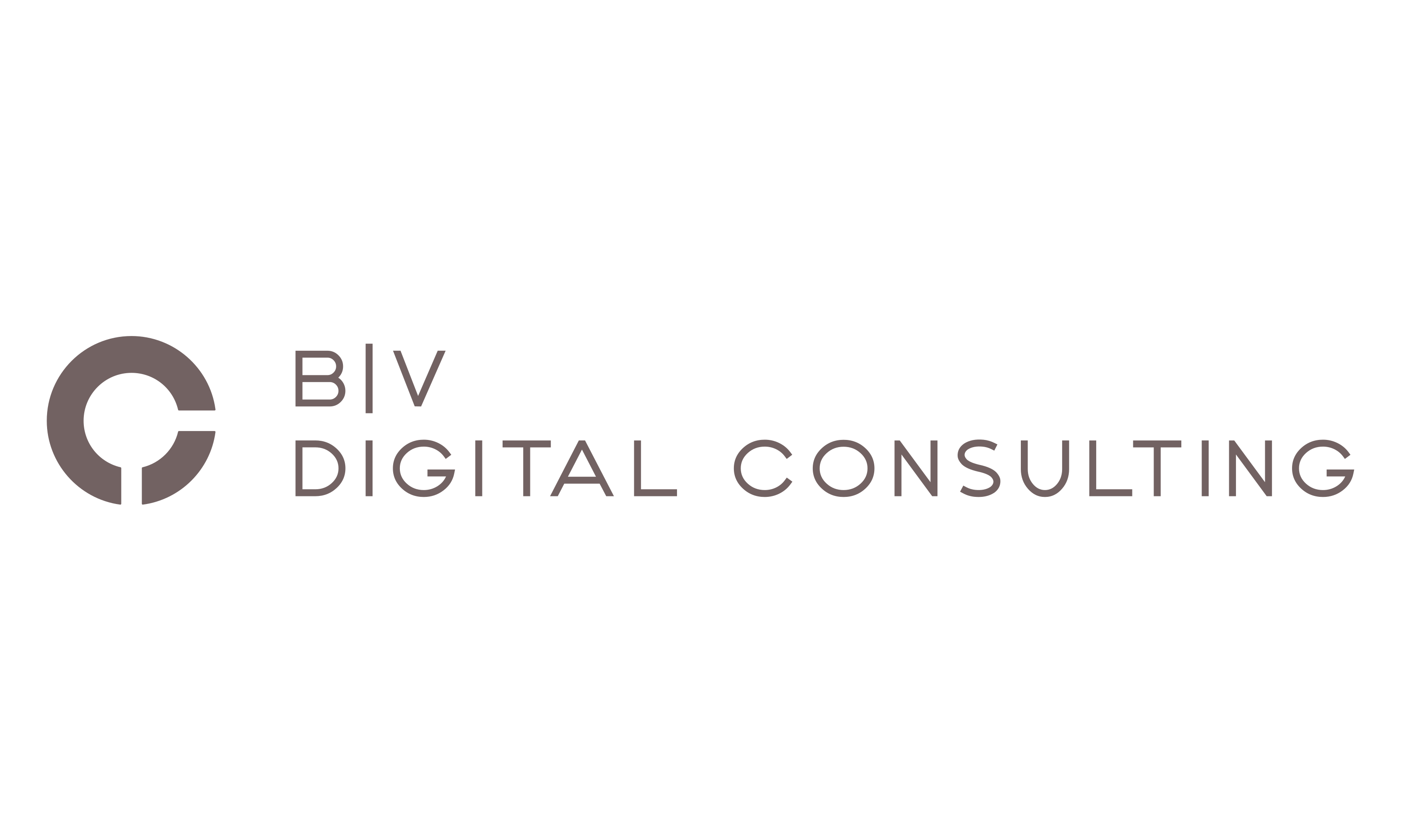 BV Digital Consulting